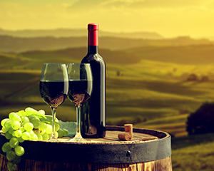 Wine Specials
